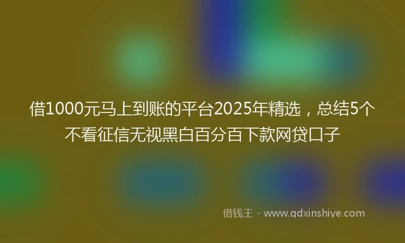 借1000元马上到账的平台2025年精选，总结5个不看征信无视黑白百分百下款网贷口子