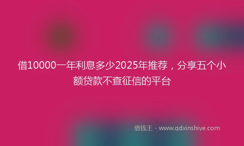 借10000一年利息多少2025年推荐，分享五个小额贷款不查征信的平台