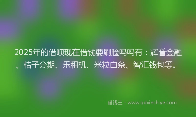 2025年的借呗现在借钱要刷脸吗吗有：辉誉金融、桔子分期、乐租机、米粒白条、智汇钱包等。