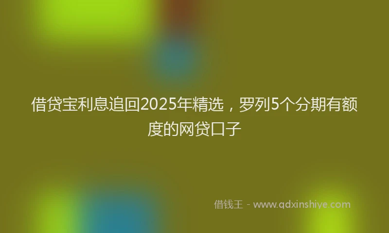 借贷宝利息追回2025年精选，罗列5个分期有额度的网贷口子
