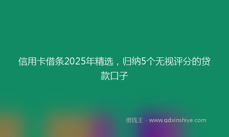 信用卡借条2025年精选，归纳5个无视评分的贷款口子