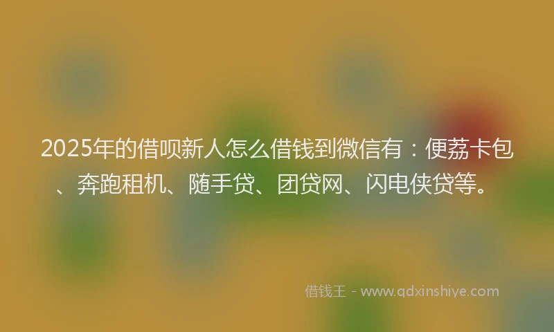 2025年的借呗新人怎么借钱到微信有：便荔卡包、奔跑租机、随手贷、团贷网、闪电侠贷等。