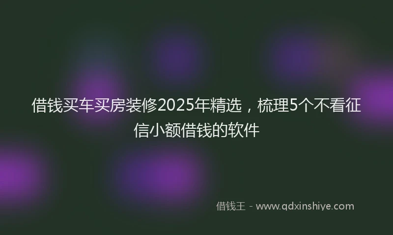 借钱买车买房装修2025年精选，梳理5个不看征信小额借钱的软件