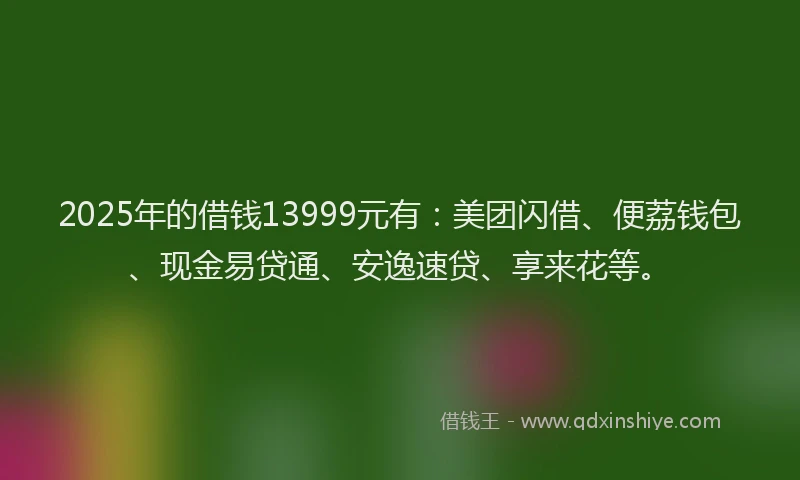 2025年的借钱13999元有：美团闪借、便荔钱包、现金易贷通、安逸速贷、享来花等。
