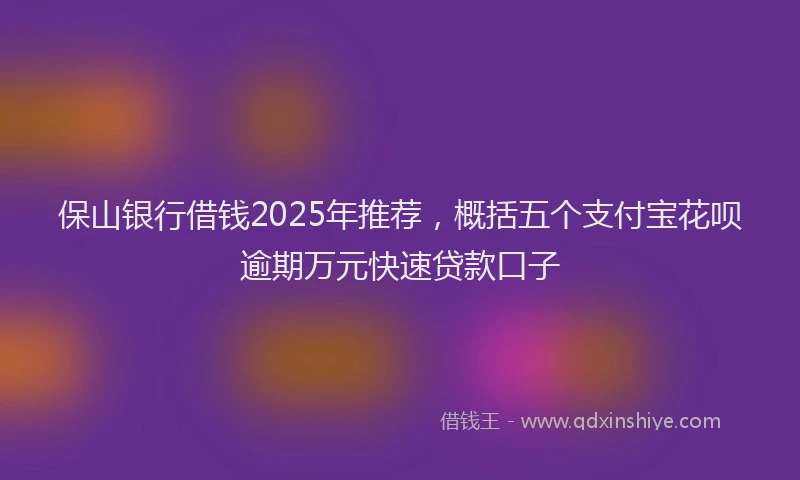 保山银行借钱2025年推荐，概括五个支付宝花呗逾期万元快速贷款口子
