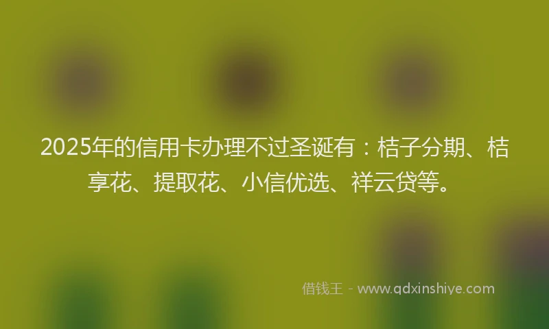 2025年的信用卡办理不过圣诞有：桔子分期、桔享花、提取花、小信优选、祥云贷等。