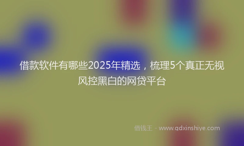 借款软件有哪些2025年精选，梳理5个真正无视风控黑白的网贷平台