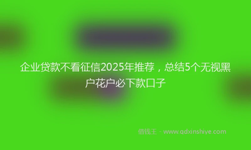 企业贷款不看征信2025年推荐，总结5个无视黑户花户必下款口子