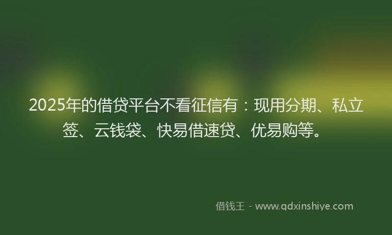2025年的借贷平台不看征信有：现用分期、私立签、云钱袋、快易借速贷、优易购等。