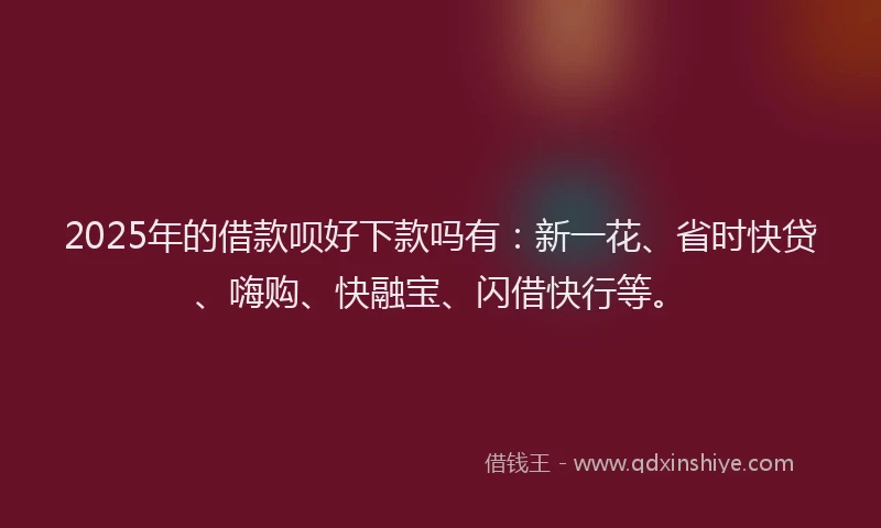 2025年的借款呗好下款吗有：新一花、省时快贷、嗨购、快融宝、闪借快行等。