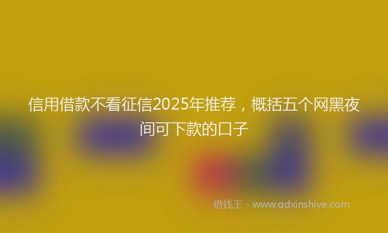 信用借款不看征信2025年推荐，概括五个网黑夜间可下款的口子