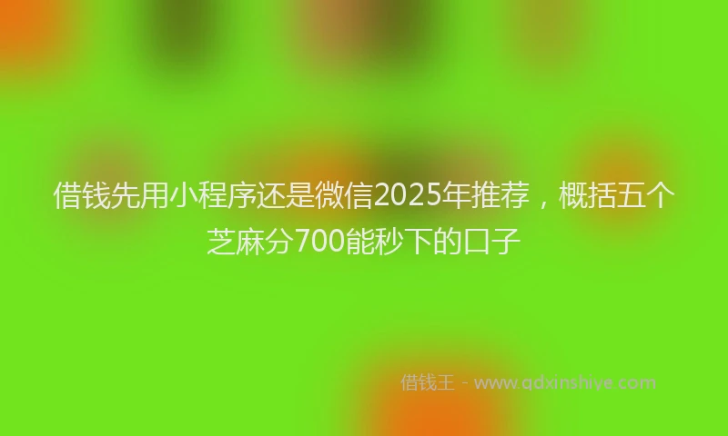 借钱先用小程序还是微信2025年推荐，概括五个芝麻分700能秒下的口子