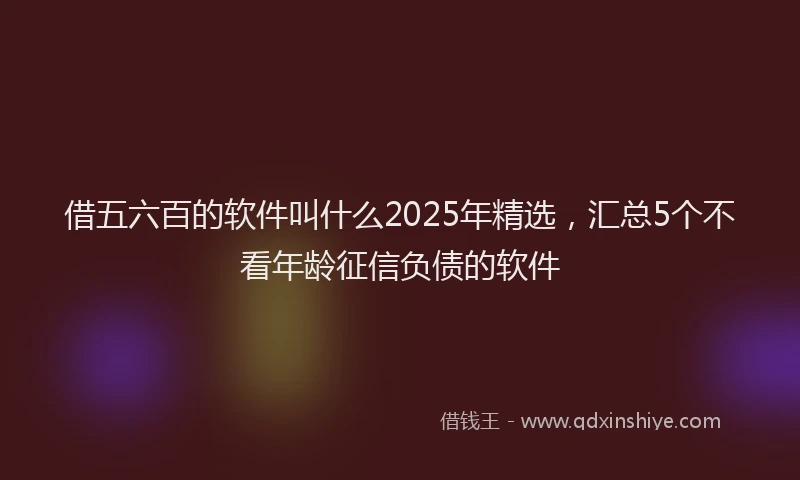 借五六百的软件叫什么2025年精选，汇总5个不看年龄征信负债的软件