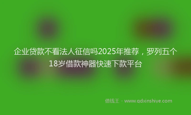 企业贷款不看法人征信吗2025年推荐，罗列五个18岁借款神器快速下款平台