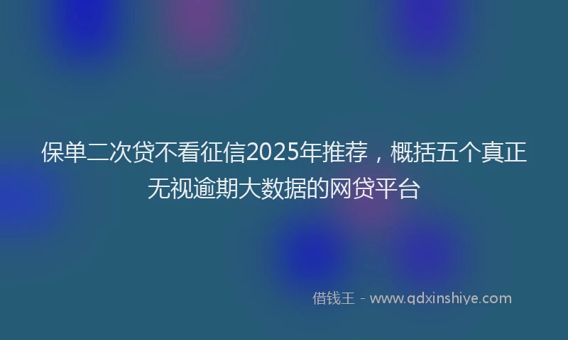 保单二次贷不看征信2025年推荐，概括五个真正无视逾期大数据的网贷平台