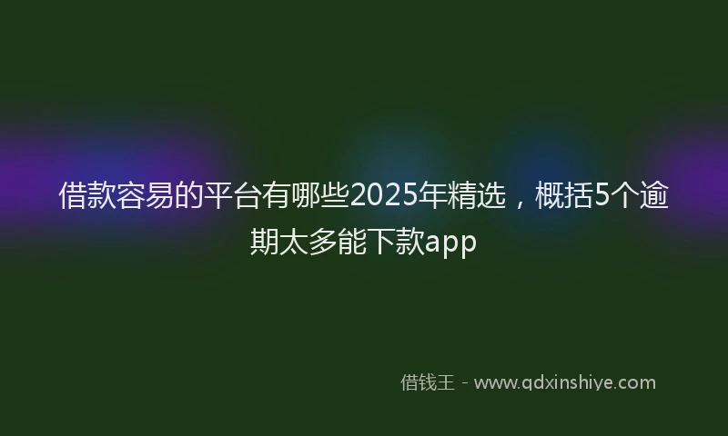 借款容易的平台有哪些2025年精选，概括5个逾期太多能下款app