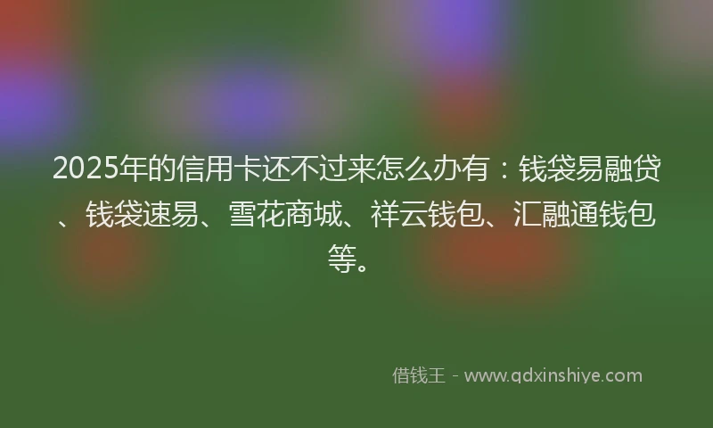 2025年的信用卡还不过来怎么办有：钱袋易融贷、钱袋速易、雪花商城、祥云钱包、汇融通钱包等。