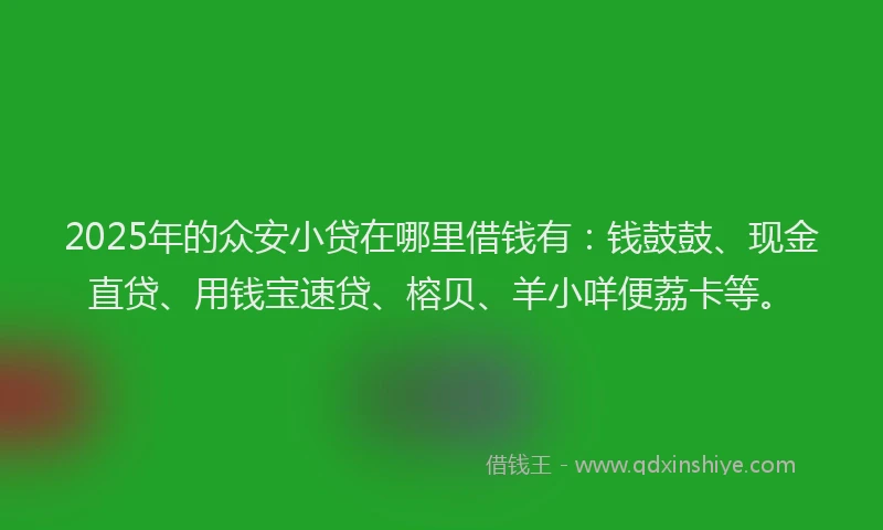 2025年的众安小贷在哪里借钱有：钱鼓鼓、现金直贷、用钱宝速贷、榕贝、羊小咩便荔卡等。