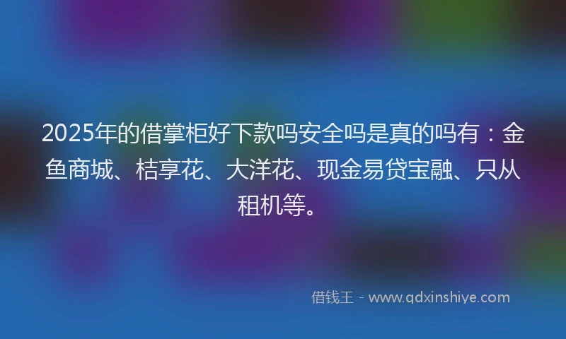 2025年的借掌柜好下款吗安全吗是真的吗有：金鱼商城、桔享花、大洋花、现金易贷宝融、只从租机等。