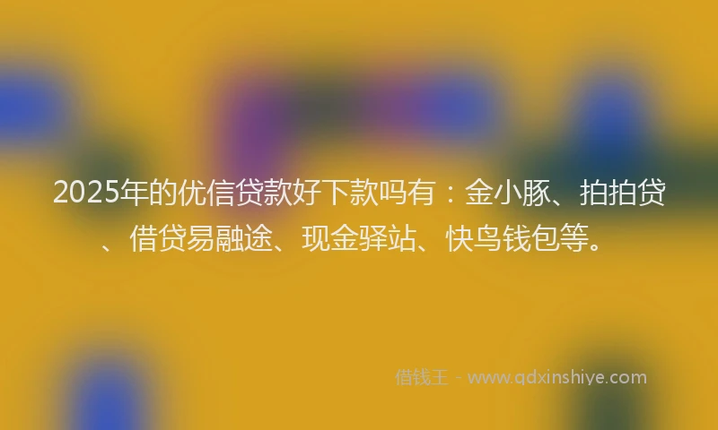 2025年的优信贷款好下款吗有：金小豚、拍拍贷、借贷易融途、现金驿站、快鸟钱包等。