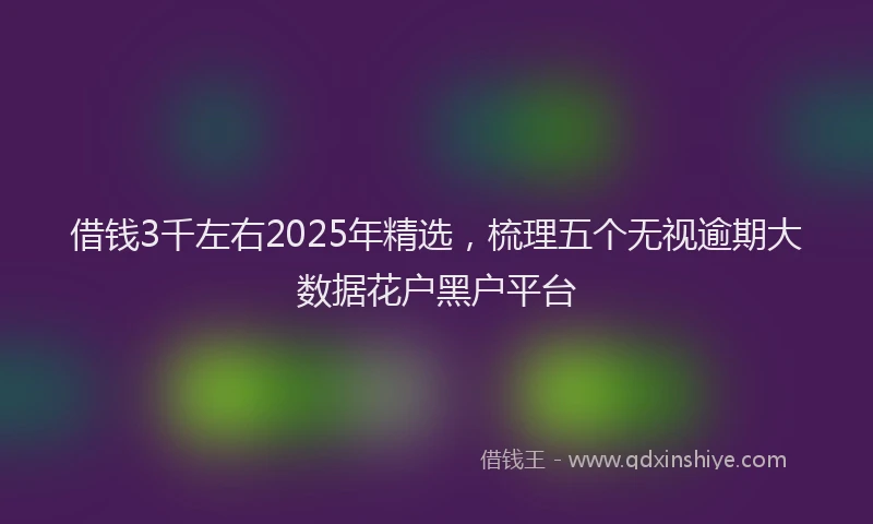 借钱3千左右2025年精选，梳理五个无视逾期大数据花户黑户平台