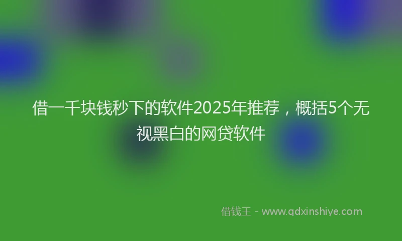 借一千块钱秒下的软件2025年推荐，概括5个无视黑白的网贷软件