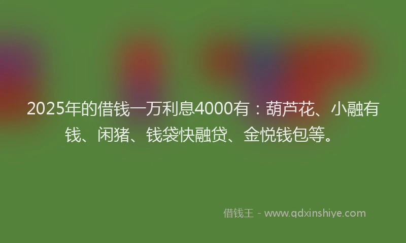 2025年的借钱一万利息4000有：葫芦花、小融有钱、闲猪、钱袋快融贷、金悦钱包等。