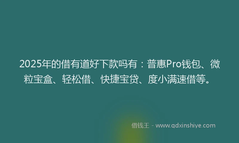 2025年的借有道好下款吗有：普惠Pro钱包、微粒宝盒、轻松借、快捷宝贷、度小满速借等。