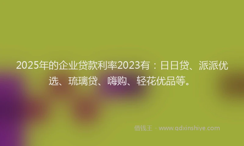 2025年的企业贷款利率2023有：日日贷、派派优选、琉璃贷、嗨购、轻花优品等。
