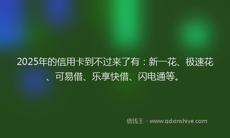 2025年的信用卡到不过来了有：新一花、极速花、可易借、乐享快借、闪电通等。