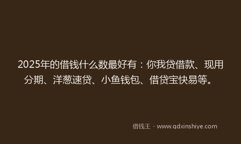 2025年的借钱什么数最好有：你我贷借款、现用分期、洋葱速贷、小鱼钱包、借贷宝快易等。