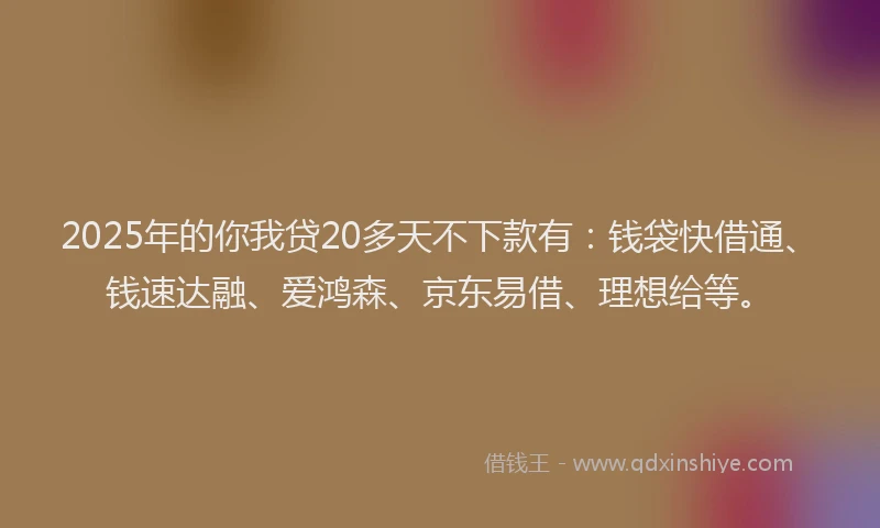 2025年的你我贷20多天不下款有：钱袋快借通、钱速达融、爱鸿森、京东易借、理想给等。