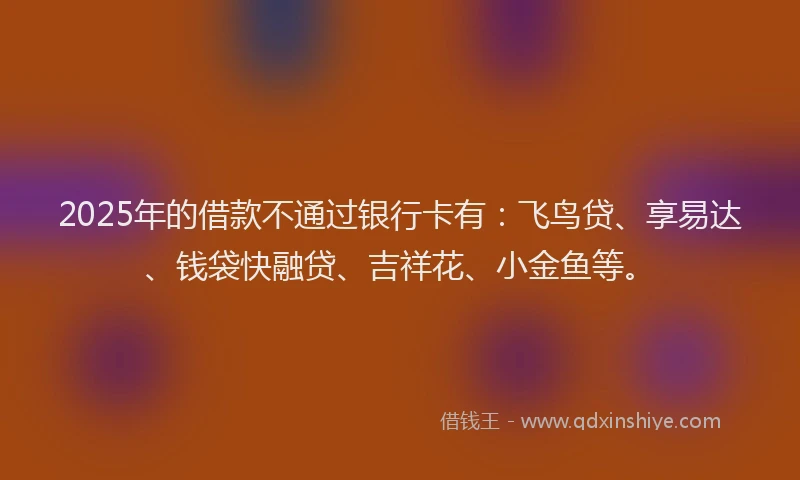 2025年的借款不通过银行卡有：飞鸟贷、享易达、钱袋快融贷、吉祥花、小金鱼等。