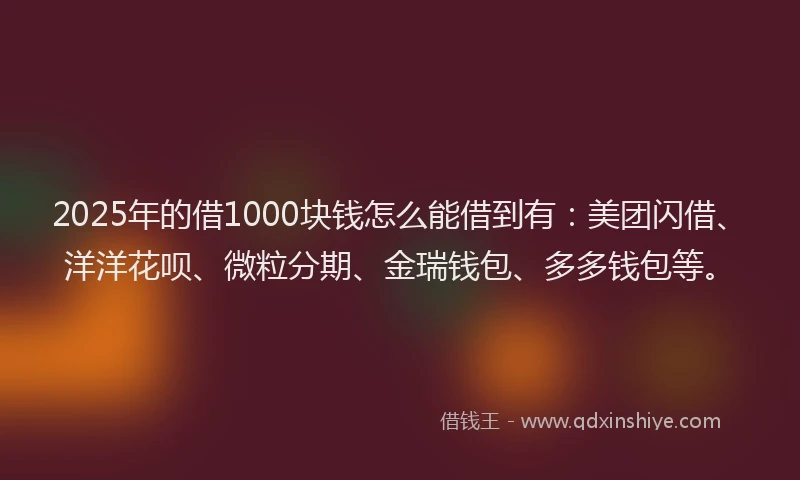 2025年的借1000块钱怎么能借到有：美团闪借、洋洋花呗、微粒分期、金瑞钱包、多多钱包等。