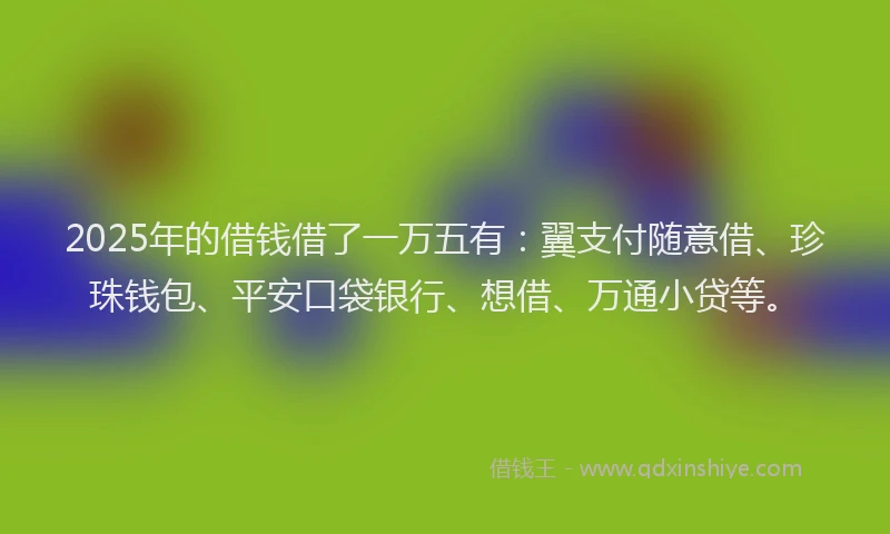 2025年的借钱借了一万五有：翼支付随意借、珍珠钱包、平安口袋银行、想借、万通小贷等。