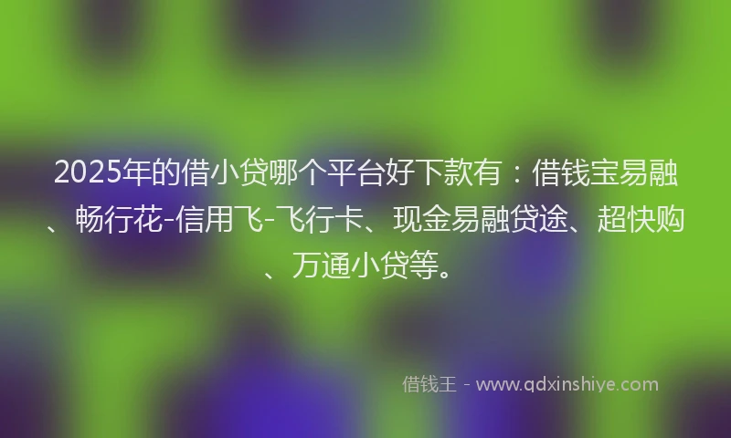 2025年的借小贷哪个平台好下款有：借钱宝易融、畅行花-信用飞-飞行卡、现金易融贷途、超快购、万通小贷等。