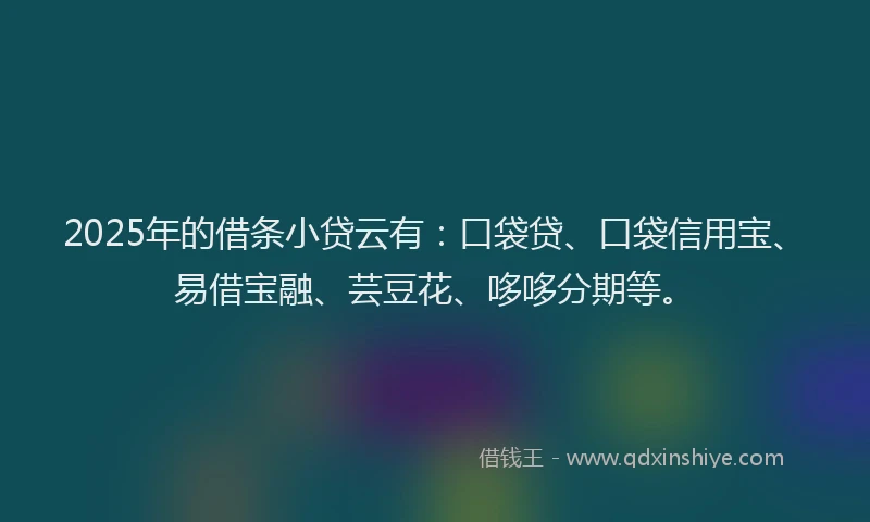 2025年的借条小贷云有：口袋贷、口袋信用宝、易借宝融、芸豆花、哆哆分期等。