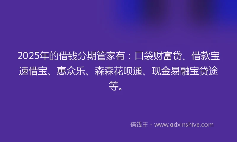 2025年的借钱分期管家有：口袋财富贷、借款宝速借宝、惠众乐、森森花呗通、现金易融宝贷途等。
