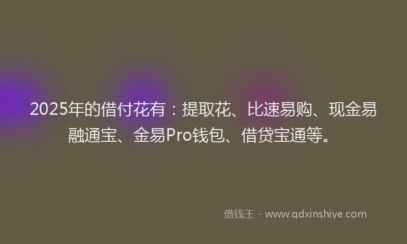 2025年的借付花有：提取花、比速易购、现金易融通宝、金易Pro钱包、借贷宝通等。