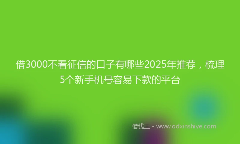 借3000不看征信的口子有哪些2025年推荐，梳理5个新手机号容易下款的平台