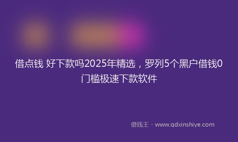 借点钱 好下款吗2025年精选，罗列5个黑户借钱0门槛极速下款软件