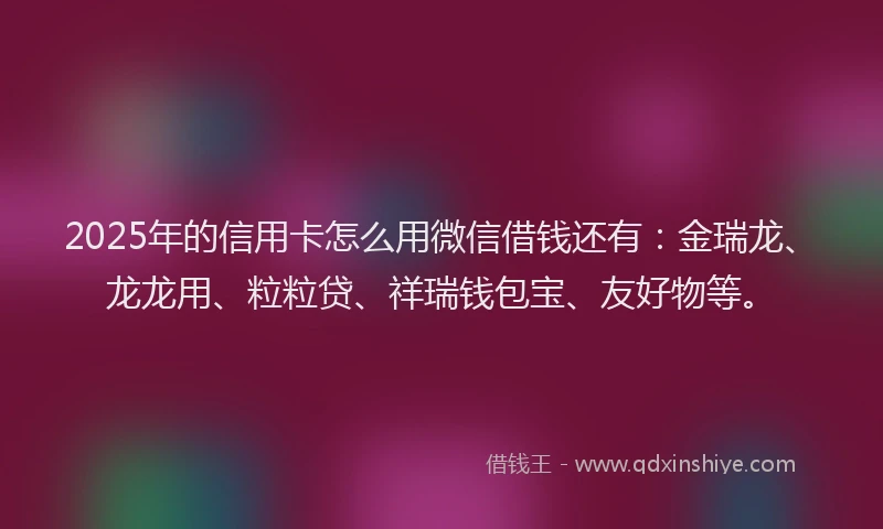 2025年的信用卡怎么用微信借钱还有：金瑞龙、龙龙用、粒粒贷、祥瑞钱包宝、友好物等。