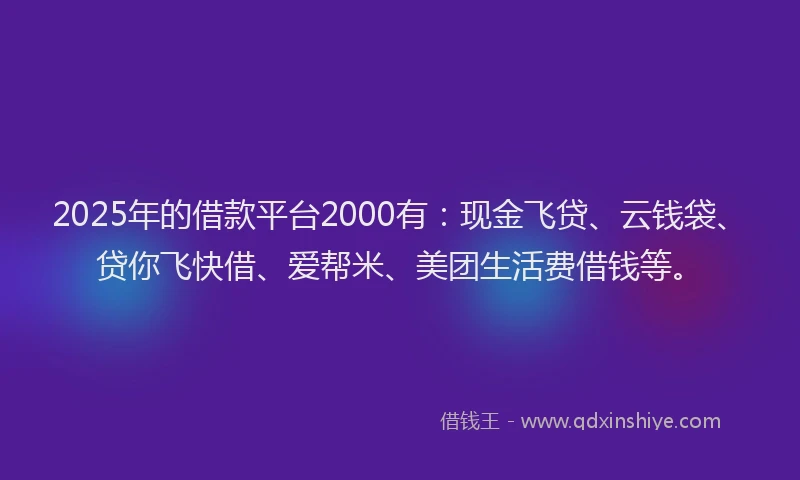 2025年的借款平台2000有：现金飞贷、云钱袋、贷你飞快借、爱帮米、美团生活费借钱等。