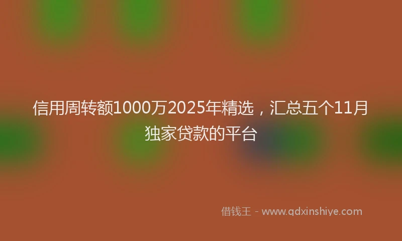信用周转额1000万2025年精选，汇总五个11月独家贷款的平台