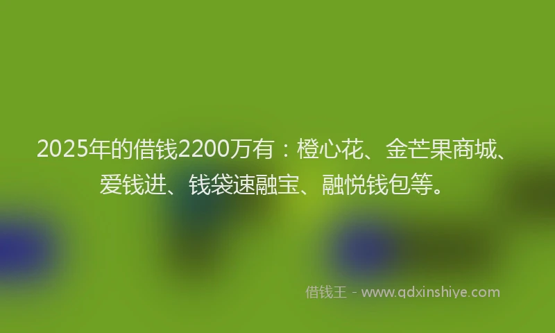 2025年的借钱2200万有：橙心花、金芒果商城、爱钱进、钱袋速融宝、融悦钱包等。