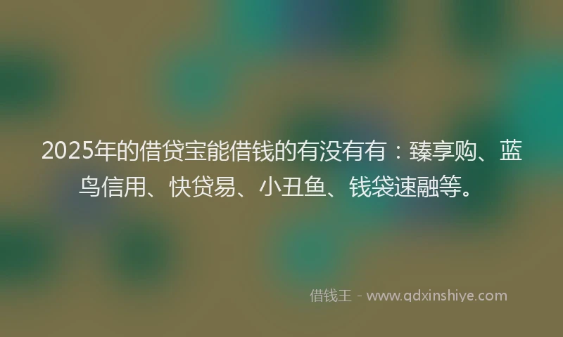 2025年的借贷宝能借钱的有没有有：臻享购、蓝鸟信用、快贷易、小丑鱼、钱袋速融等。