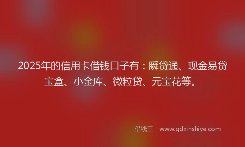 2025年的信用卡借钱口子有：瞬贷通、现金易贷宝盒、小金库、微粒贷、元宝花等。