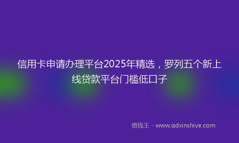 信用卡申请办理平台2025年精选，罗列五个新上线贷款平台门槛低口子