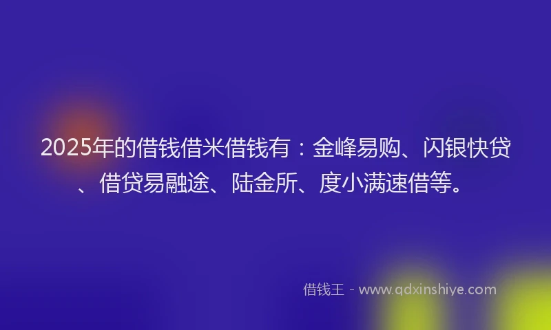 2025年的借钱借米借钱有：金峰易购、闪银快贷、借贷易融途、陆金所、度小满速借等。
