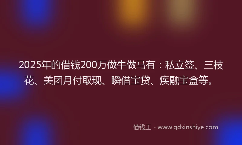 2025年的借钱200万做牛做马有：私立签、三枝花、美团月付取现、瞬借宝贷、疾融宝盒等。